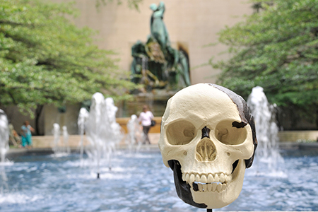 Piltdown Man