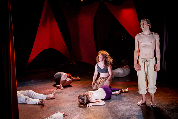 The Cast of <i>The Wild</i>