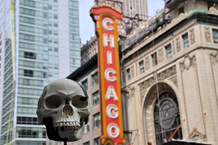 Piltdown Man